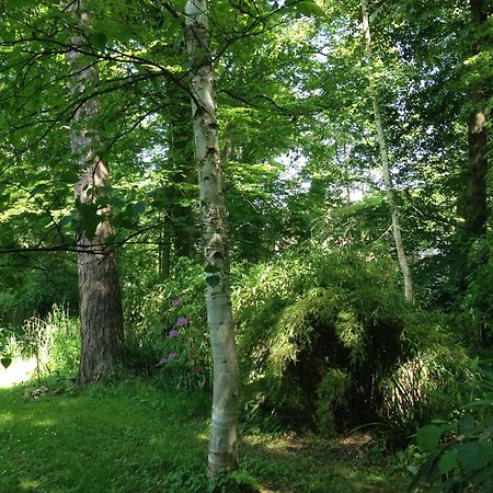 Domaine De Chantemerles Фонтенбло Екстериор снимка