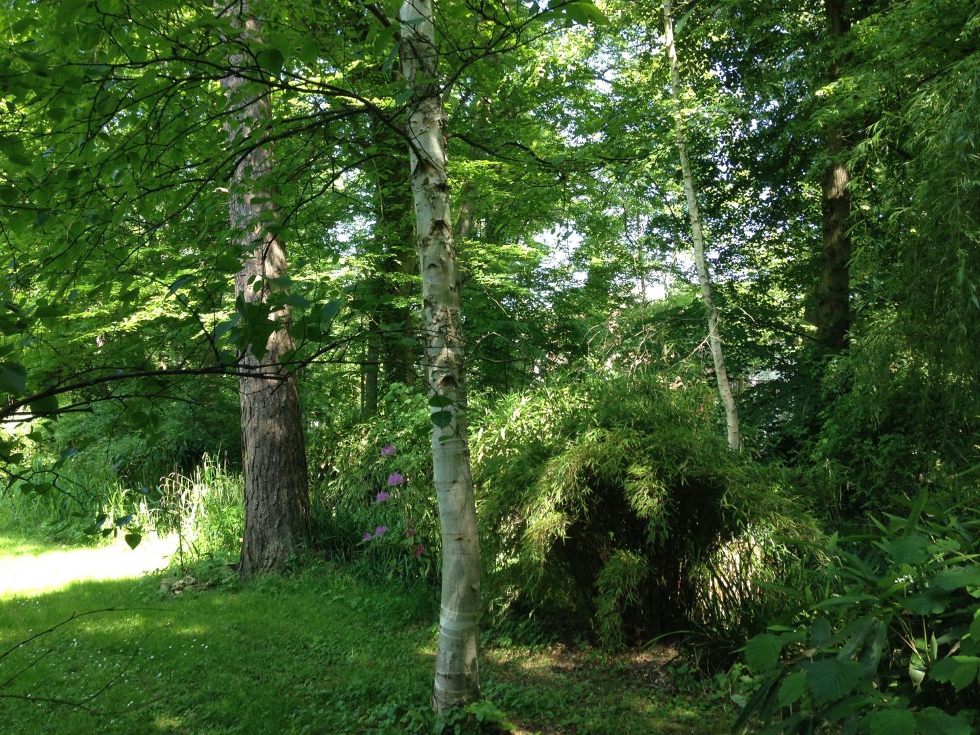 Domaine De Chantemerles Фонтенбло Екстериор снимка