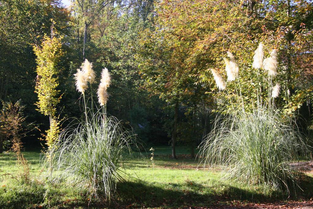 Domaine De Chantemerles Фонтенбло Екстериор снимка